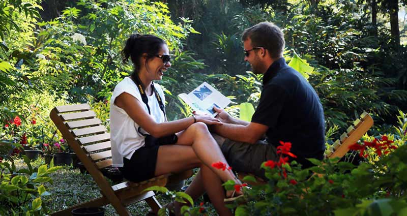 honeymooners-munnar-olivebrook