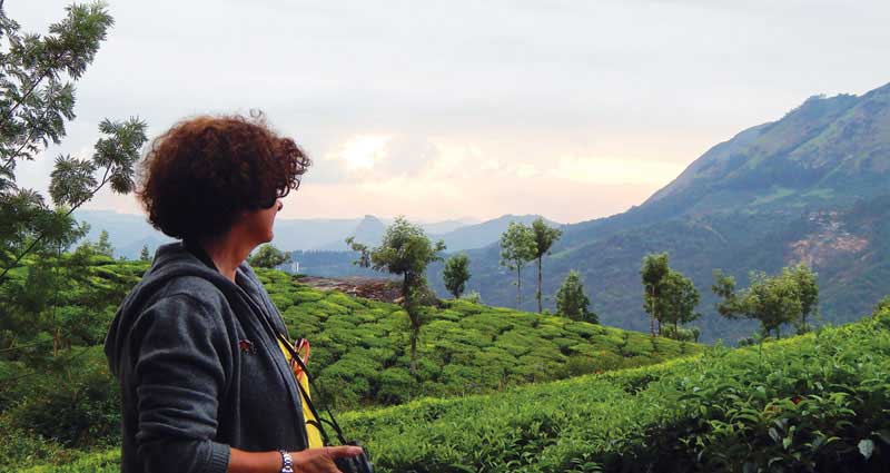 munnar-hills-olivebrook