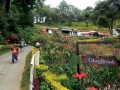 family-munnar-olivebrook