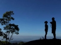 honeymoon-munnar-olivebrook