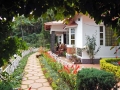 munnar-cottage-olivebrook