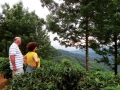 munnar-hills-olivebrook
