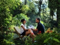 munnar-honeymoon-olivebrook