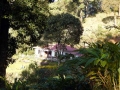 munnar-resort-olivebrook