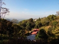 platation-stay-munnar-olivebrook